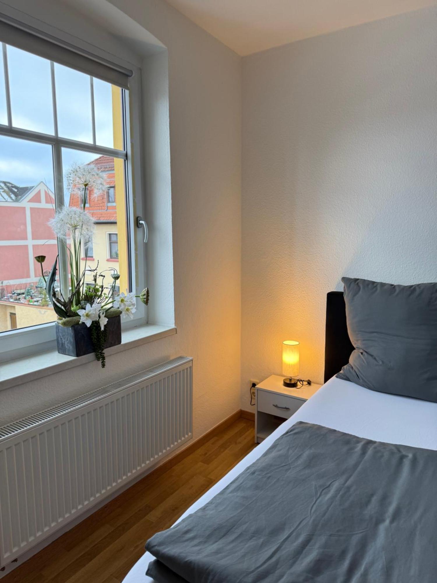 Goeltzschtal Apartment Mylau Eksteriør billede